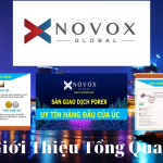 Đánh giá sàn Novox 2021