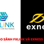 So sánh FXLINK và Exness - Đánh giá chi tiết về ưu nhược điểm và khác biệt